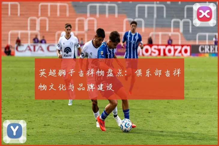 英超狮子吉祥物盘点：俱乐部吉祥物文化与品牌建设