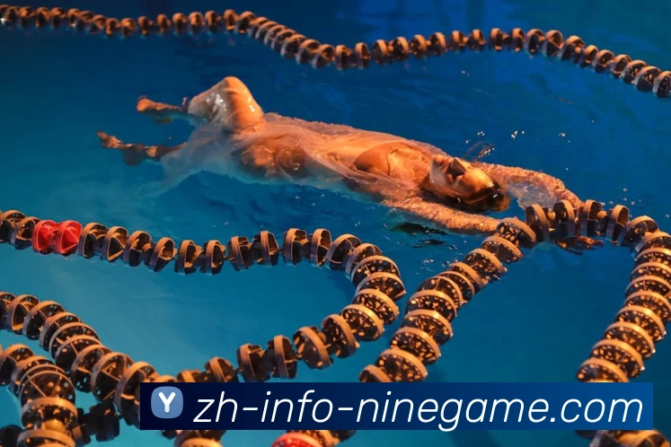 J9九游APP 封面图